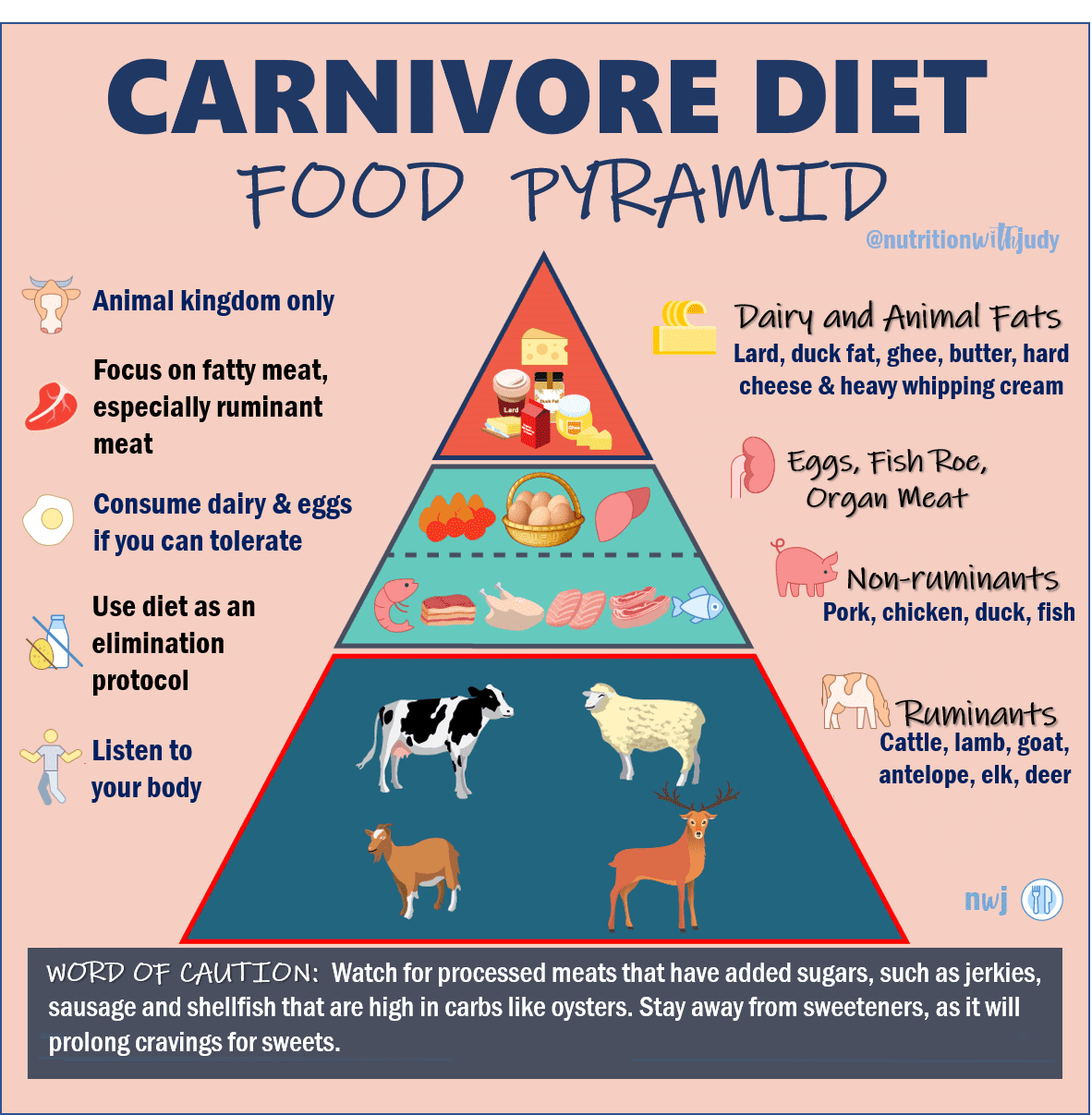 The Nutritionist’s Guide to the Carnivore Diet: A Beginner's Guide - Nutrition with Judy