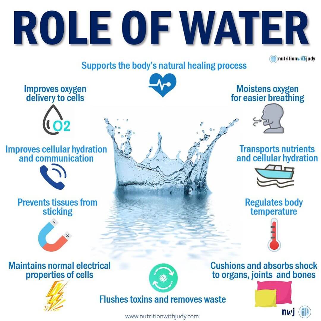 What role does water play in your body?