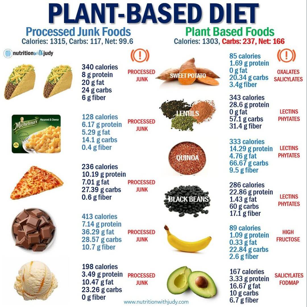 Fat intake and plant-based diets