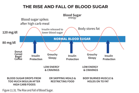 The rise and fall of blood sugar on normal blood sugar
