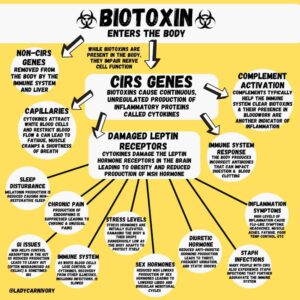 CIRS Protocol - Biotoxin Flow Chart
