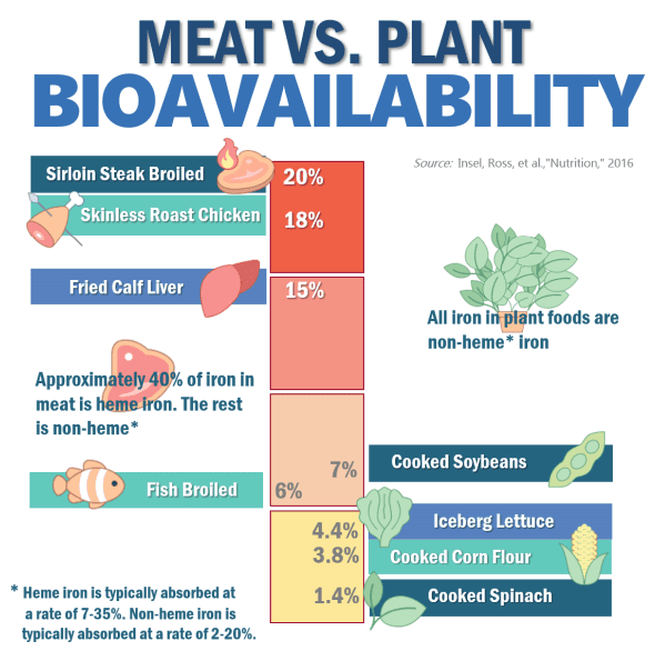 carnivore diet meat vs plant bioavailability