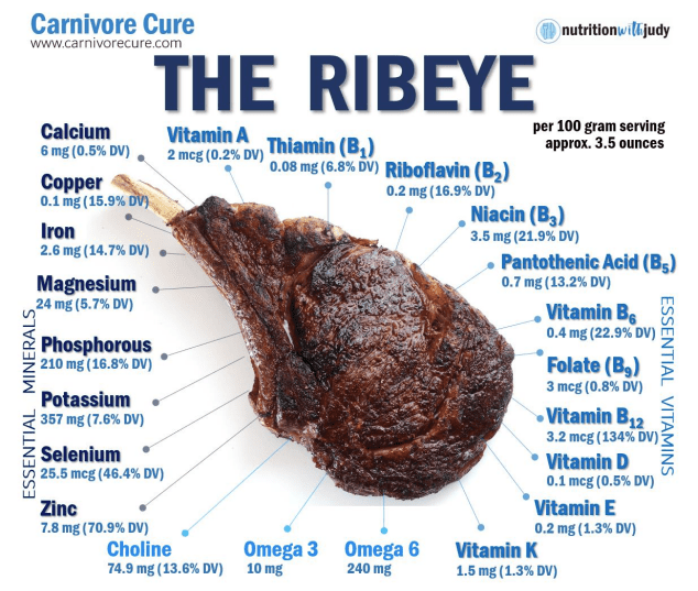 carnivore diet ribeye macros