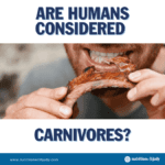 are humans carnivores